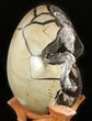 Septarian Dragon Egg Geode - Black Crystals #47473-2